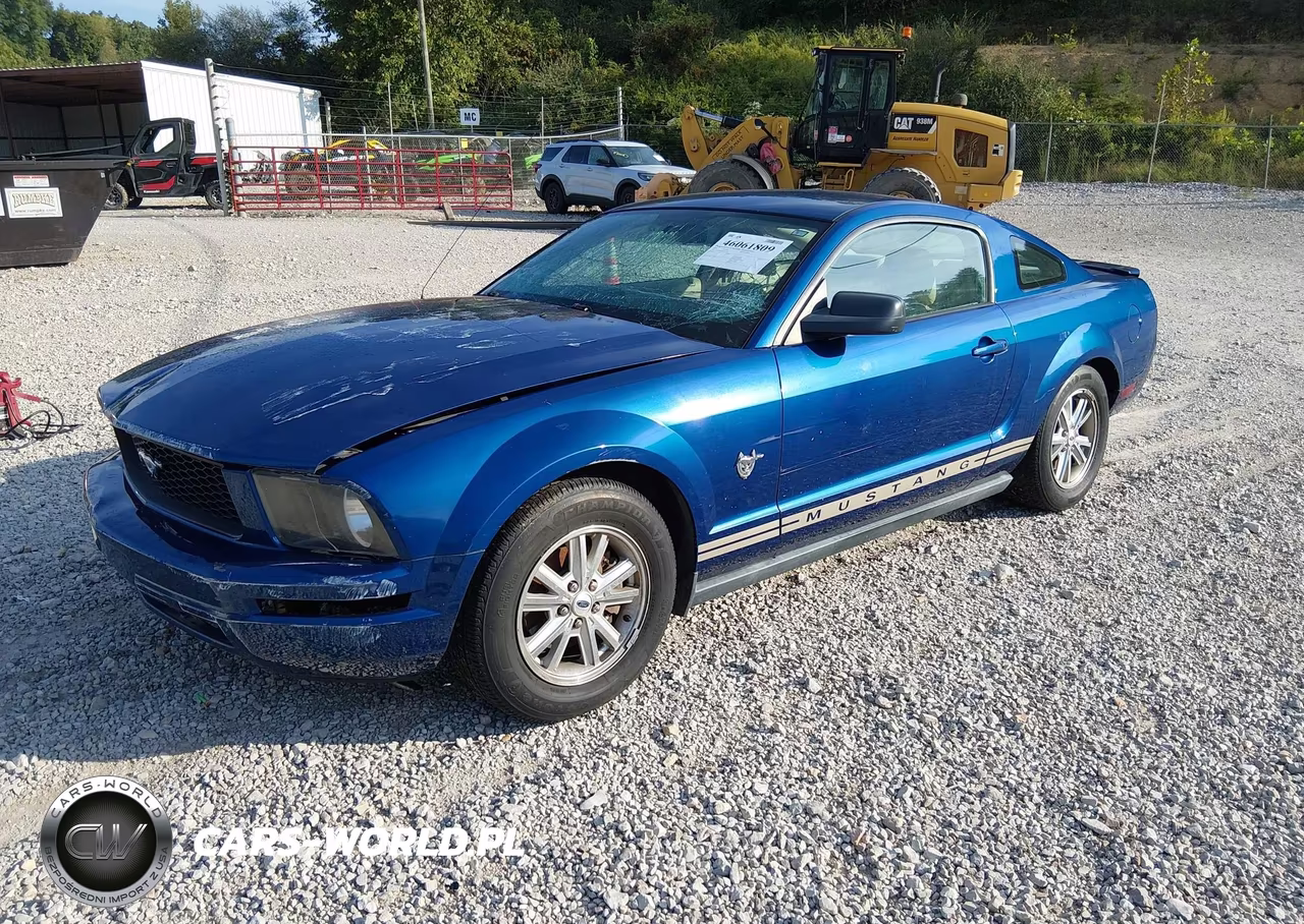 2009 Ford Mustang V6-V6 Premium VIN:1ZVHT80N695125263 - 2
