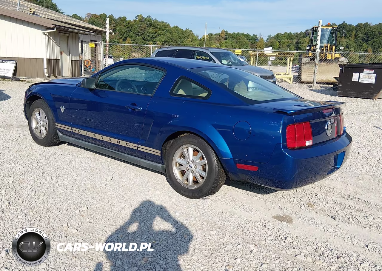 2009 Ford Mustang V6-V6 Premium VIN:1ZVHT80N695125263 - 3