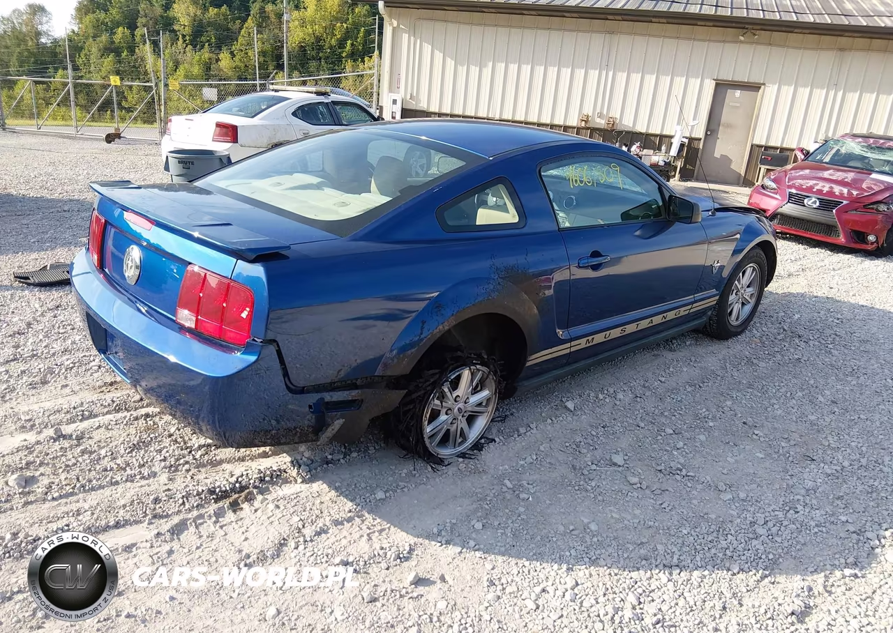 2009 Ford Mustang V6-V6 Premium VIN:1ZVHT80N695125263 - 4
