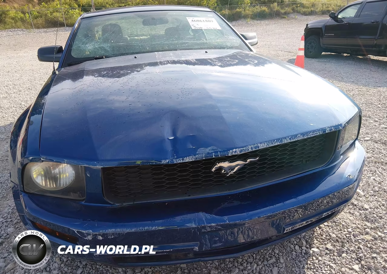 2009 Ford Mustang V6-V6 Premium VIN:1ZVHT80N695125263 - 6