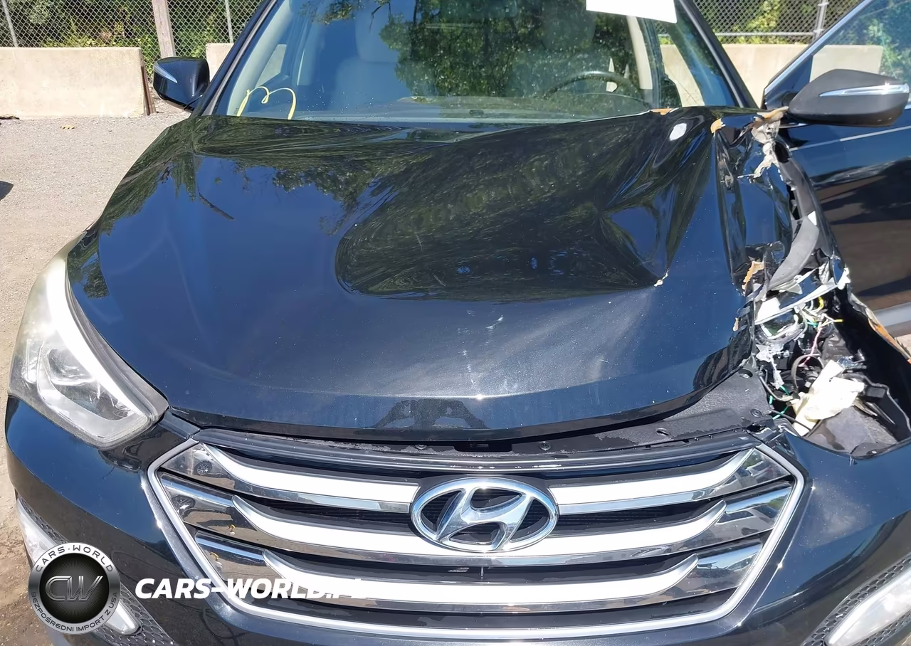 2016 Hyundai Santa Fe Sport 2.4L VIN:5XYZUDLB9GG324973 - 10