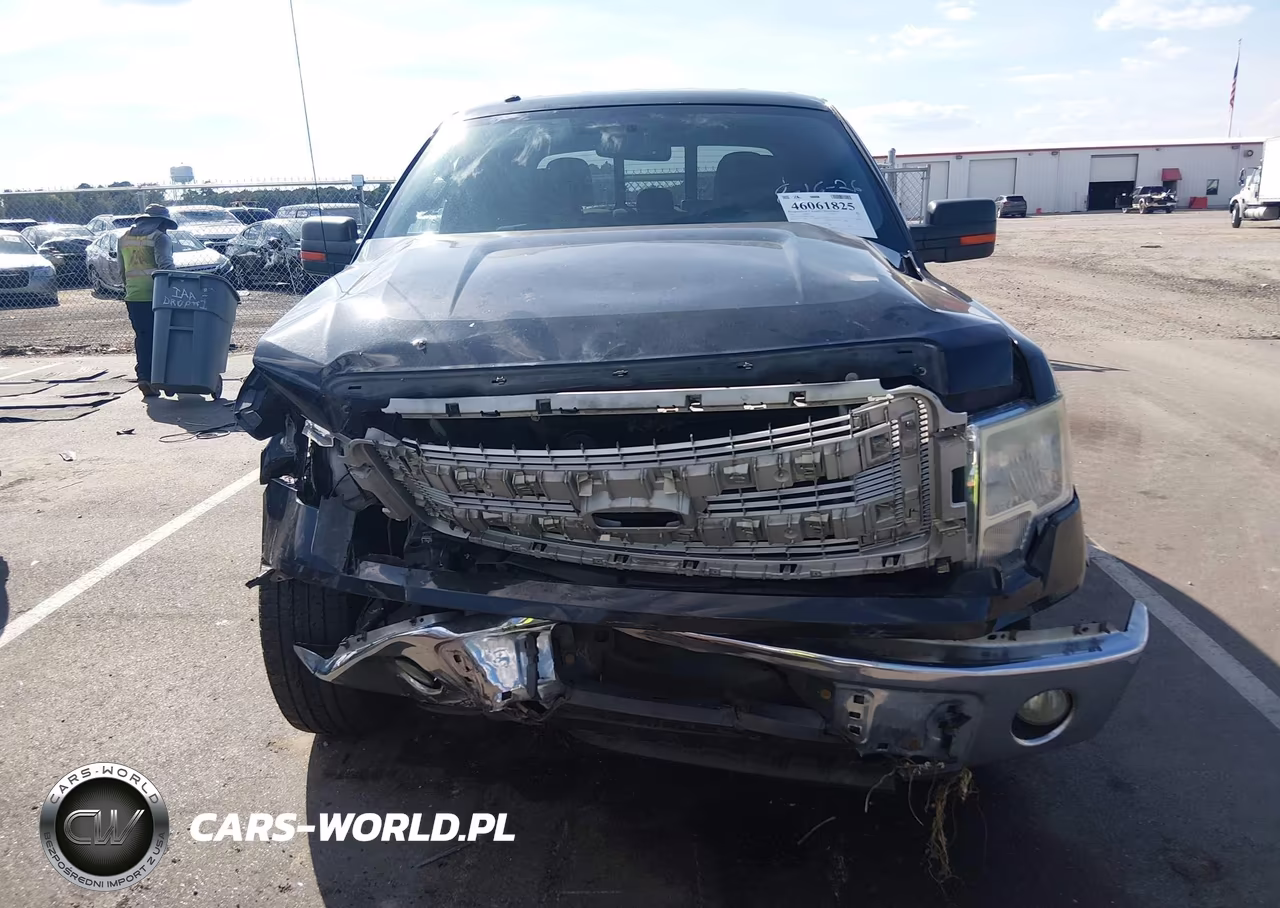 2014 Ford F-150 Xlt VIN:1FTFW1CF6EFC83684 - 12