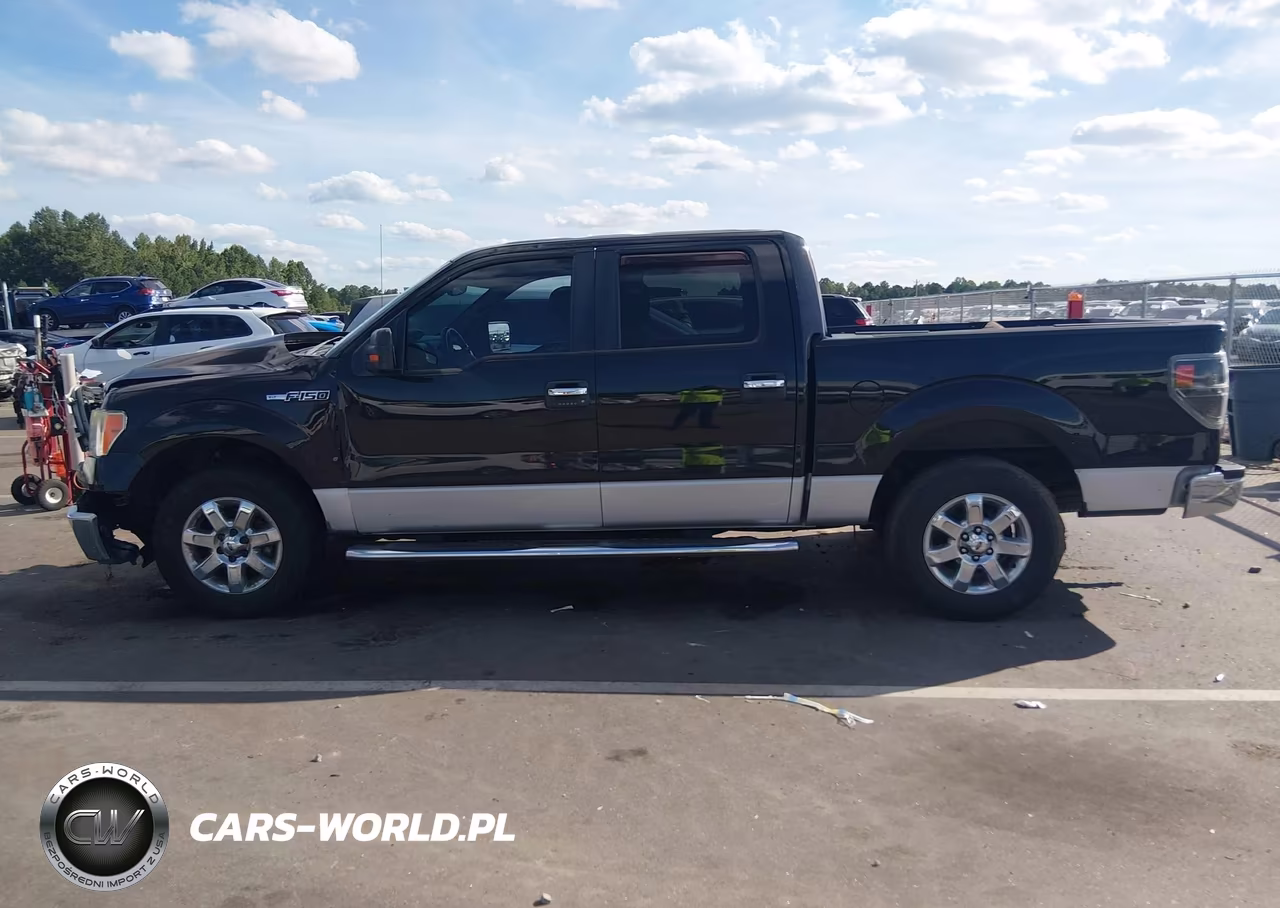 2014 Ford F-150 Xlt VIN:1FTFW1CF6EFC83684 - 14