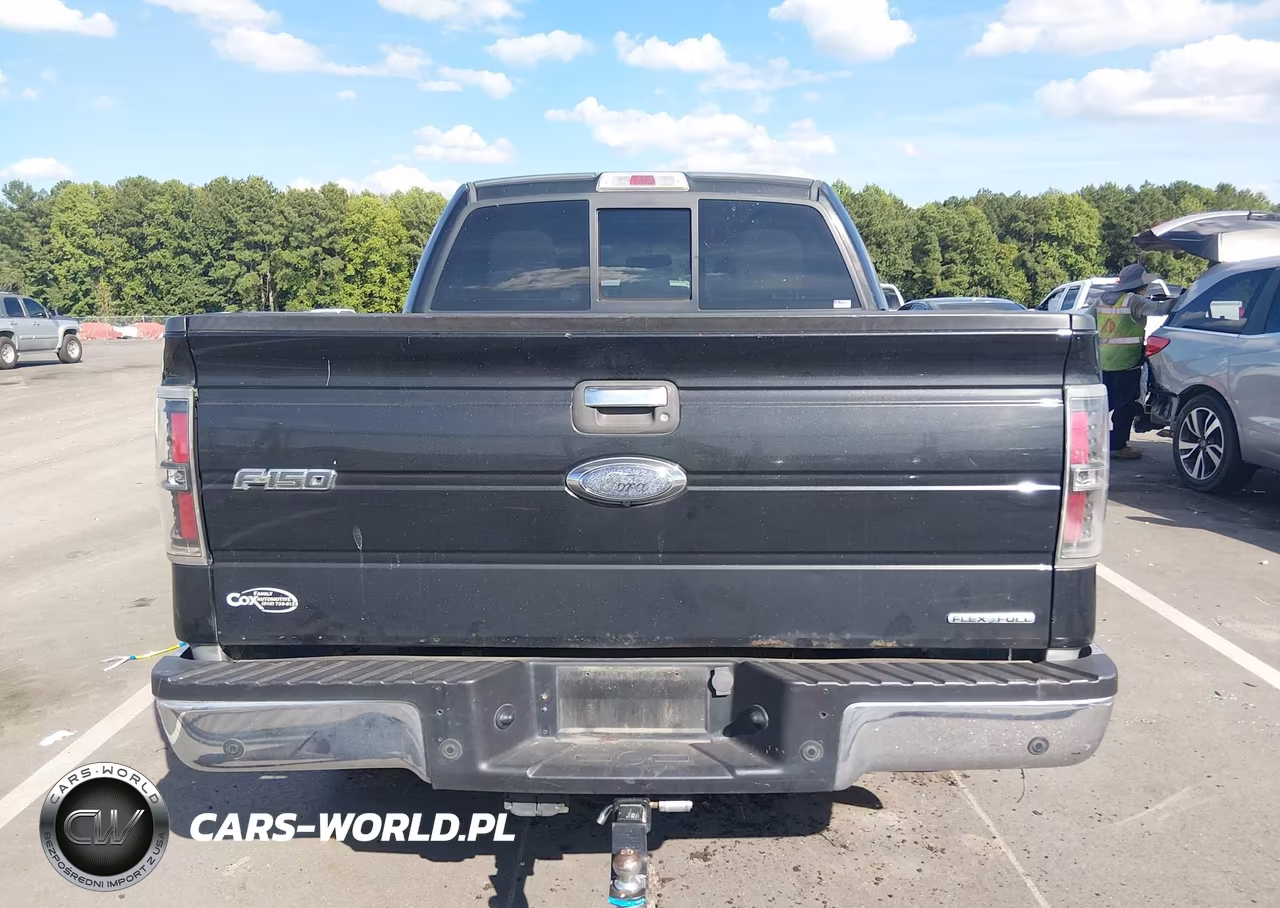 2014 Ford F-150 Xlt VIN:1FTFW1CF6EFC83684 - 16
