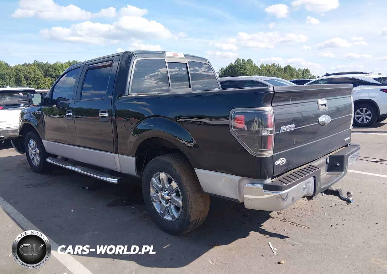 2014 Ford F-150 Xlt VIN:1FTFW1CF6EFC83684 - 3
