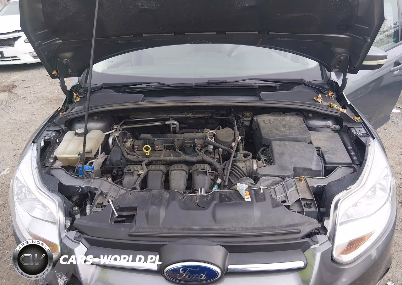 2013 Ford Focus Se VIN:1FADP3F2XDL186082 - 10