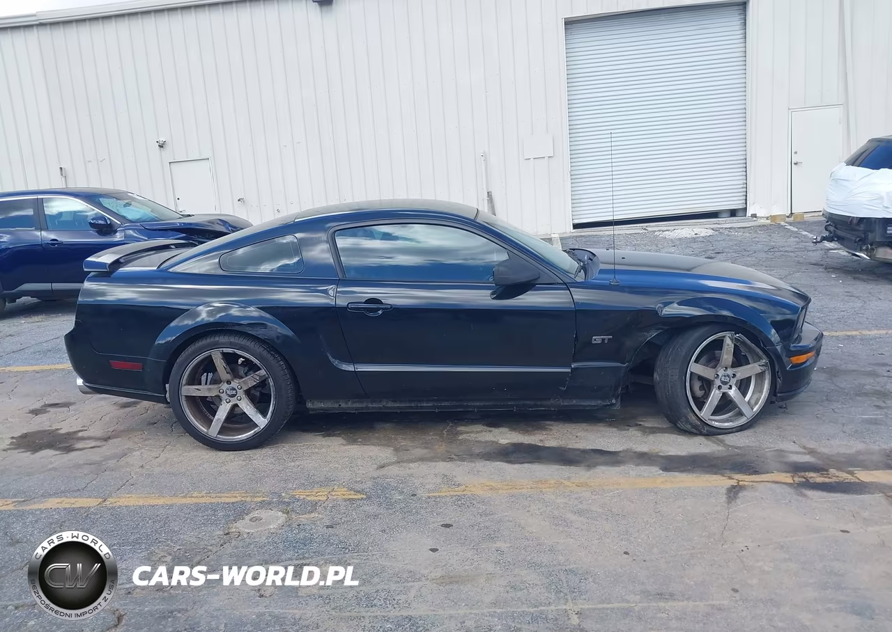 2007 Ford Mustang Gt Deluxe-Gt Premium VIN:1ZVFT82H675252302 - 13