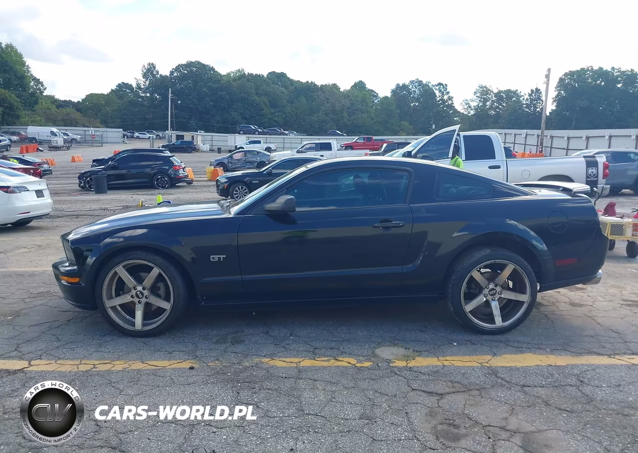 2007 Ford Mustang Gt Deluxe-Gt Premium VIN:1ZVFT82H675252302 - 14