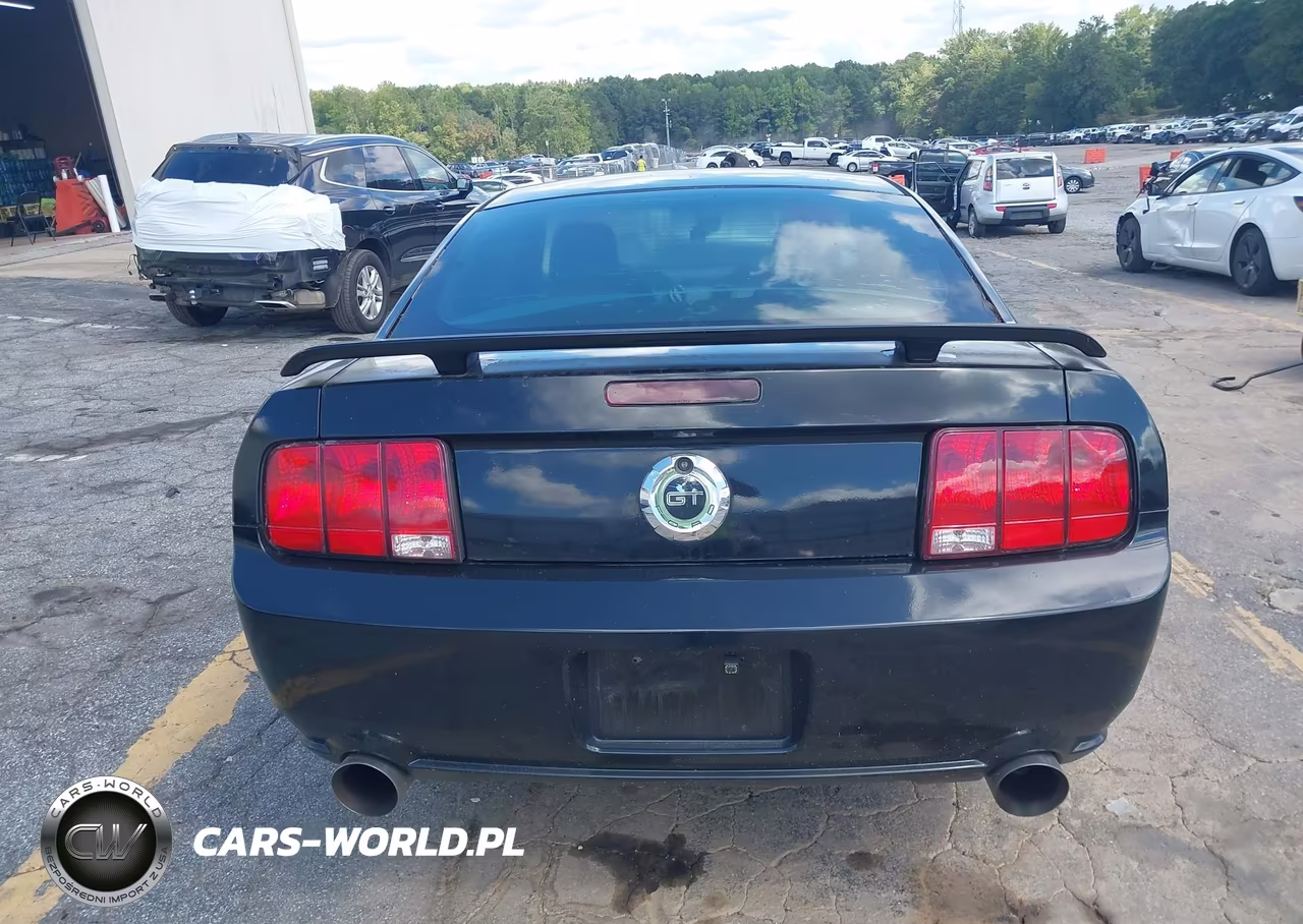 2007 Ford Mustang Gt Deluxe-Gt Premium VIN:1ZVFT82H675252302 - 16