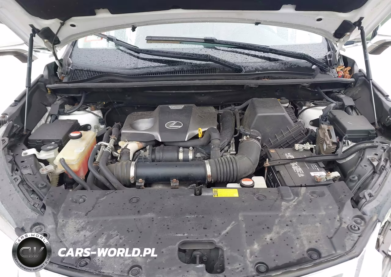 2015 Lexus Nx 200T VIN:JTJYARBZ4F2008967 - 10