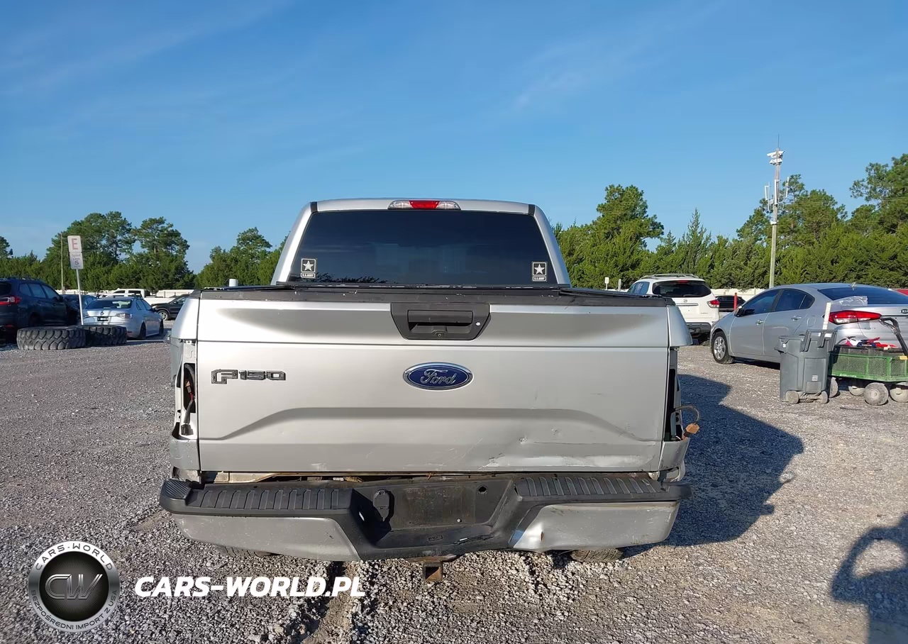 2017 Ford F-150 Xl VIN:1FTEW1CP7HFA64516 - 17