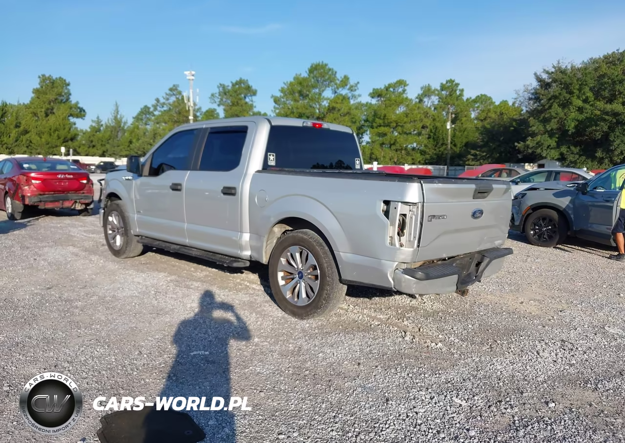 2017 Ford F-150 Xl VIN:1FTEW1CP7HFA64516 - 3