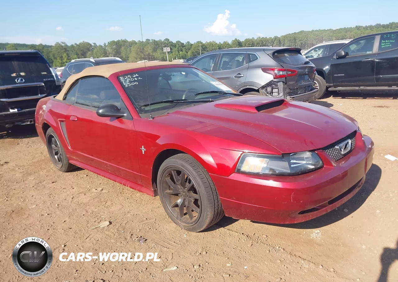 2003 Ford Mustang – zdjęcie 1 z 17