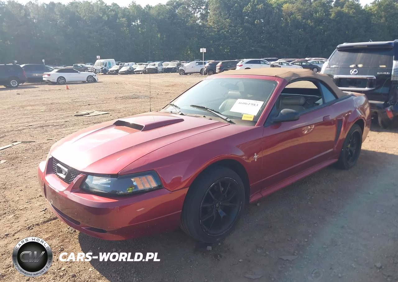 2003 Ford Mustang VIN:1FAFP44413F328500 - 2