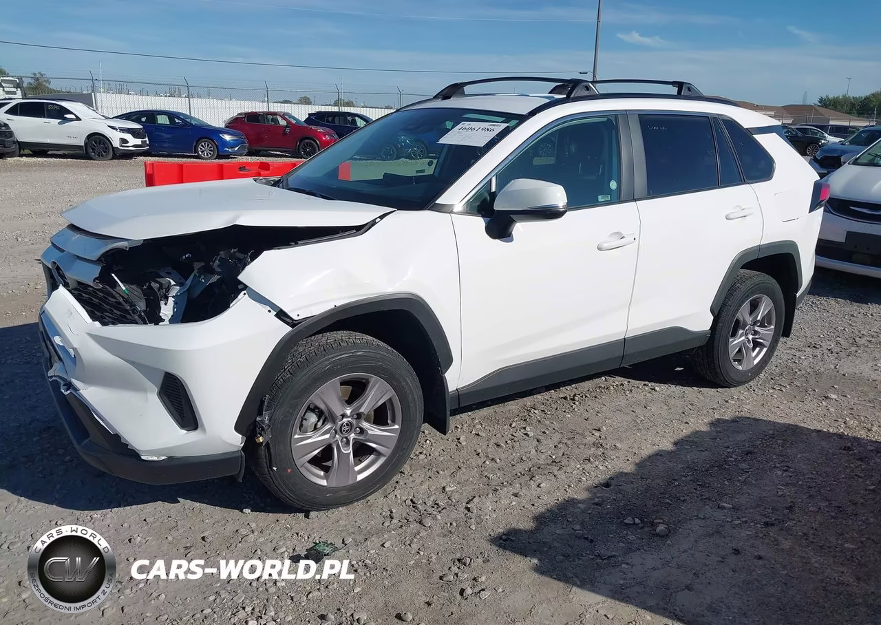 2025 Toyota Rav4 Xle VIN:2T3P1RFV4SW546804 - 2