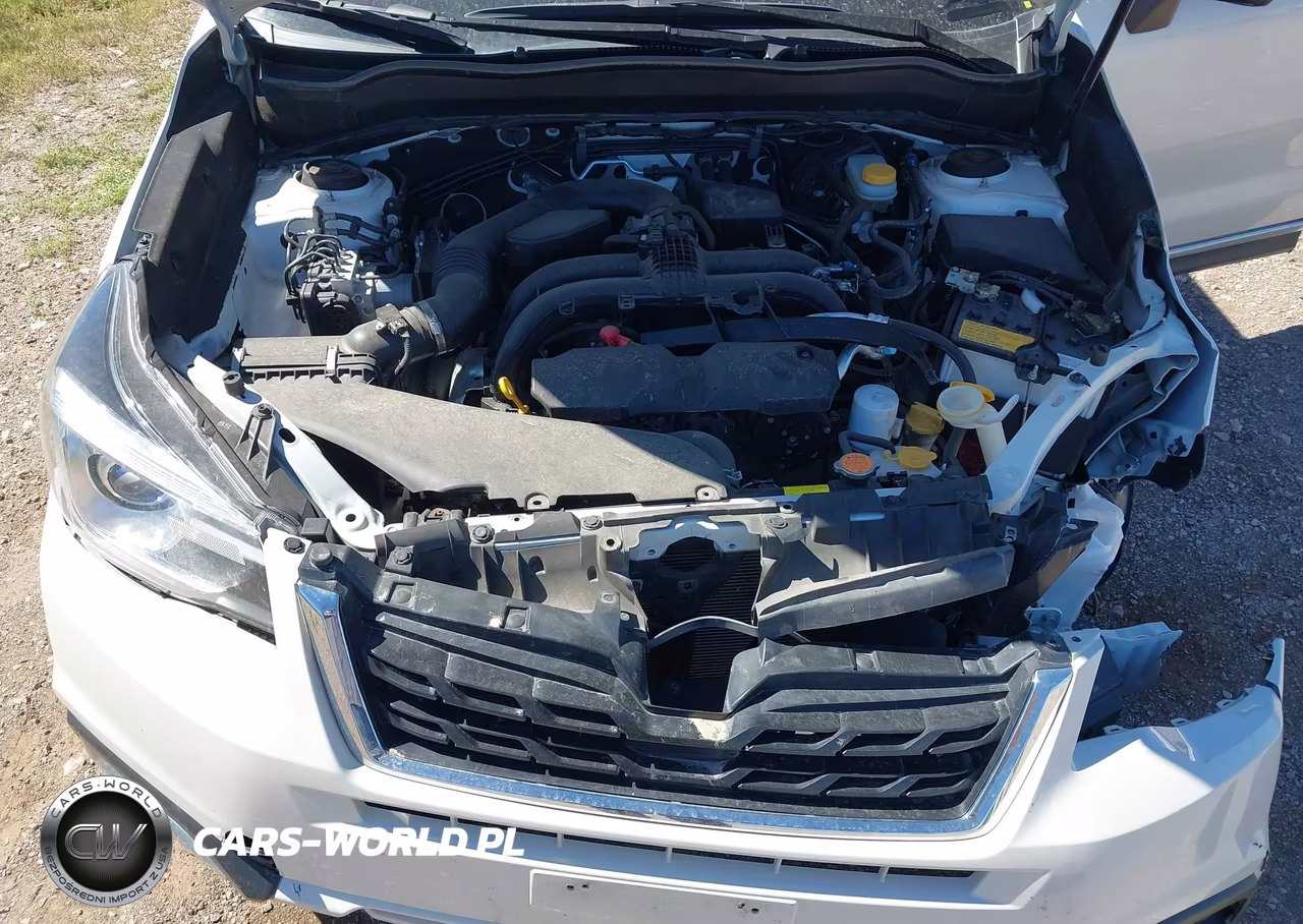 2018 Subaru Forester 2.5I Touring VIN:JF2SJAWC6JH553804 - 10