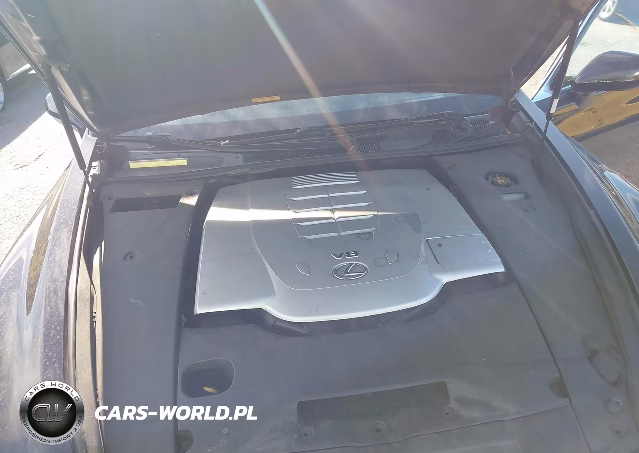 2008 Lexus Ls 460 VIN:JTHBL46F185066492 - 10