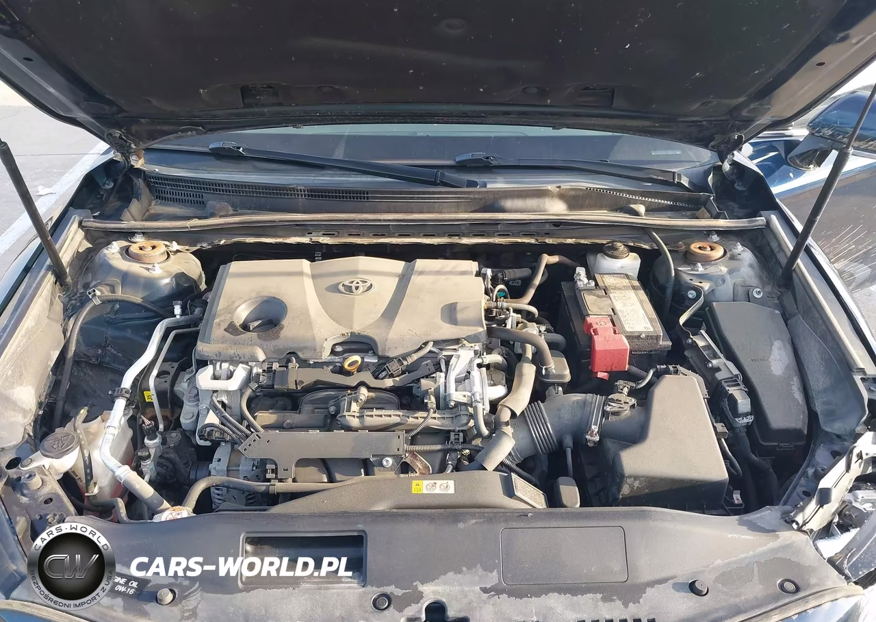 2020 Toyota Camry Se VIN:4T1M11AKXLU876376 - 10
