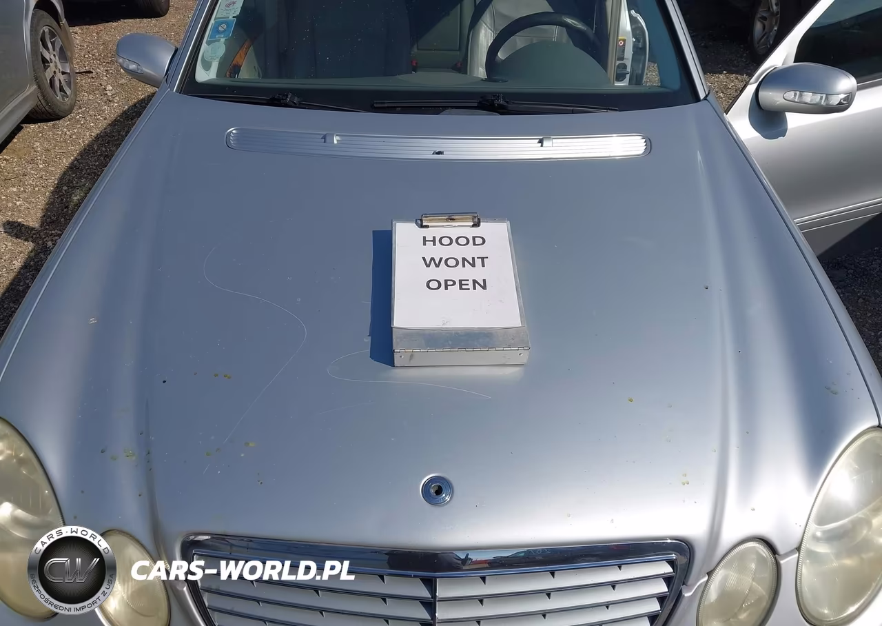 2005 Mercedes-Benz E 320 Cdi VIN:WDBUF26J35A683520 - 10