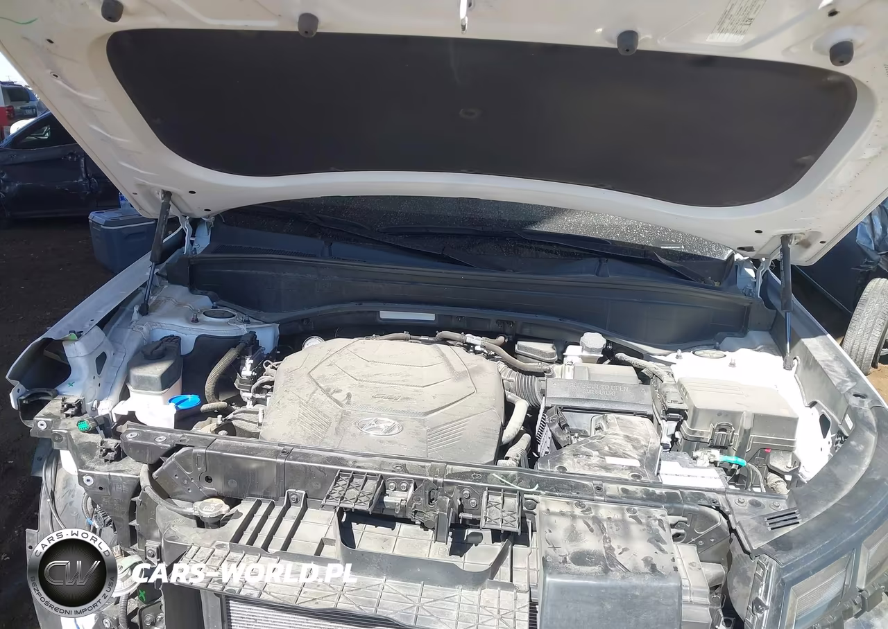 2024 Hyundai Palisade Xrt VIN:KM8R34GE4RU742409 - 10