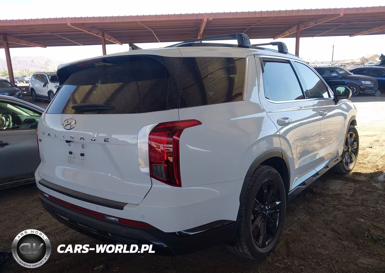 2024 Hyundai Palisade Xrt VIN:KM8R34GE4RU742409 - 4