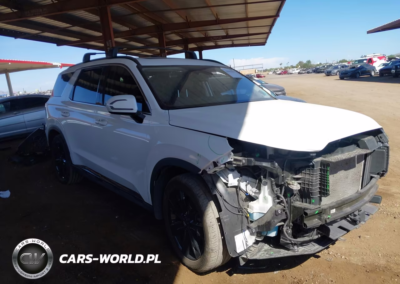 2024 Hyundai Palisade Xrt VIN:KM8R34GE4RU742409 - 6