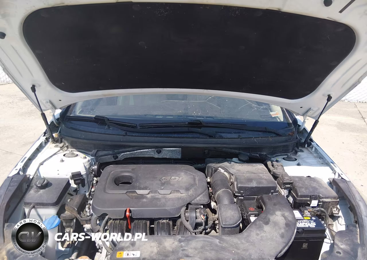 2015 Hyundai Sonata Sport VIN:5NPE34AF9FH133603 - 10