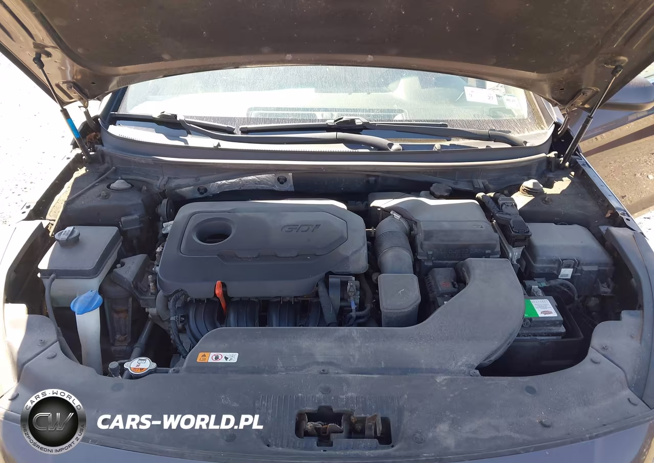 2016 Hyundai Sonata Se VIN:5NPE24AF9GH377577 - 10