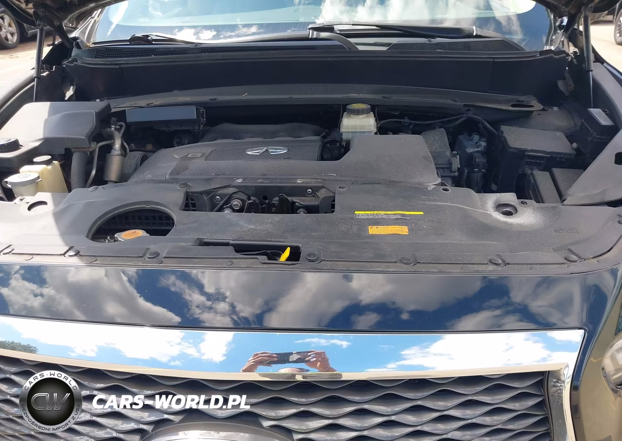 2019 Infiniti Qx60 Pure VIN:5N1DL0MN8KC529806 - 10