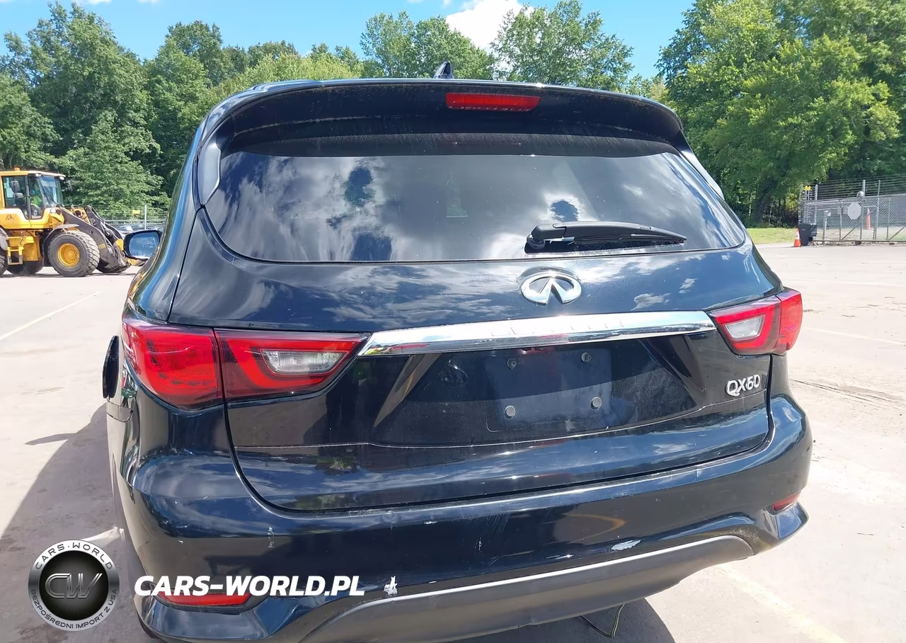 2019 Infiniti Qx60 Pure VIN:5N1DL0MN8KC529806 - 16