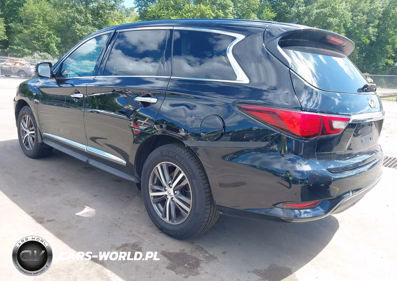 2019 Infiniti Qx60 Pure VIN:5N1DL0MN8KC529806 - 3