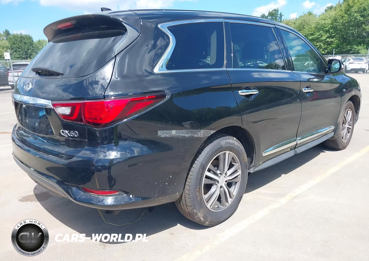 2019 Infiniti Qx60 Pure VIN:5N1DL0MN8KC529806 - 4