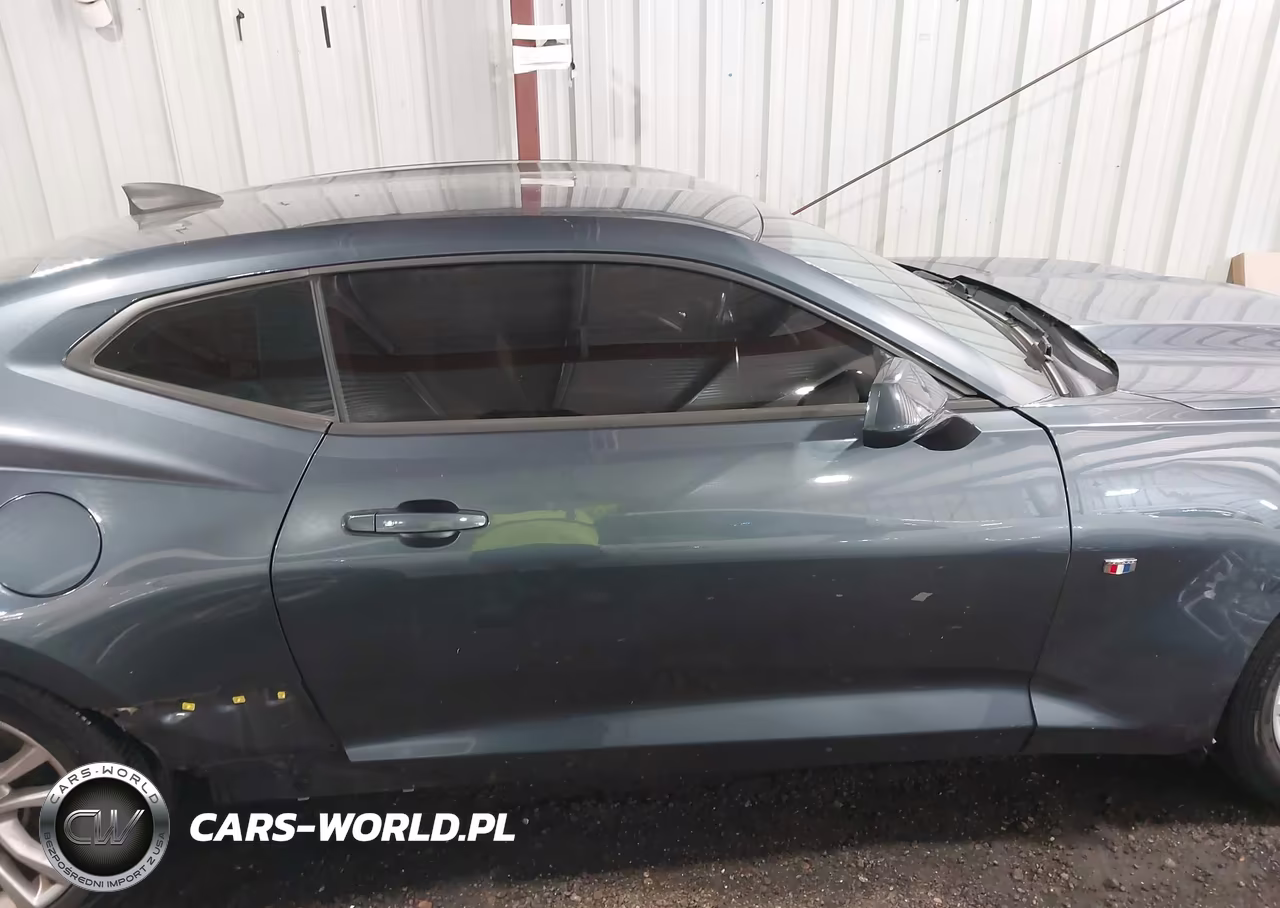 2019 Chevrolet Camaro 1Ls VIN:1G1FB1RX3K0119229 - 13