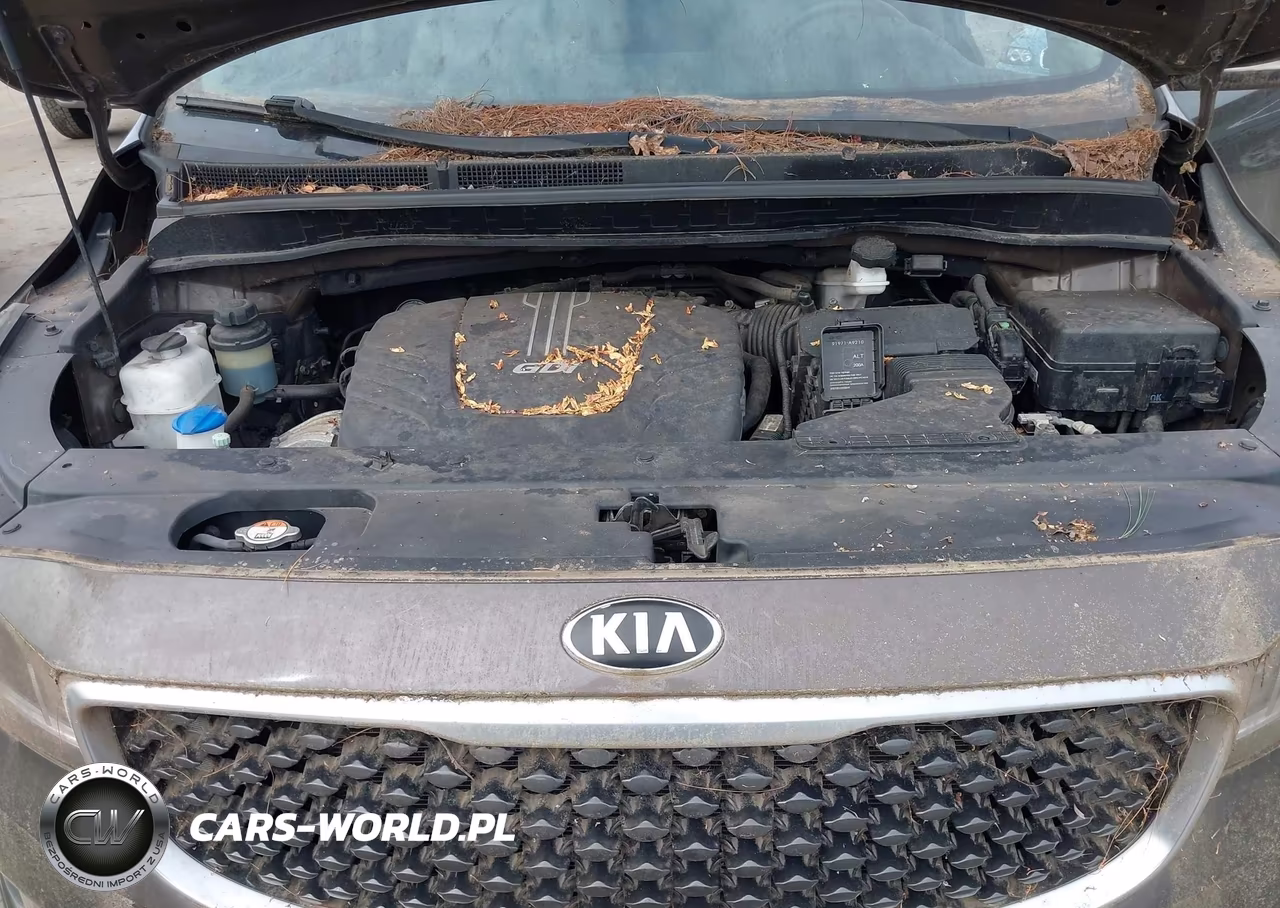 2016 Kia Sedona Lx VIN:KNDMB5C13G6129385 - 10