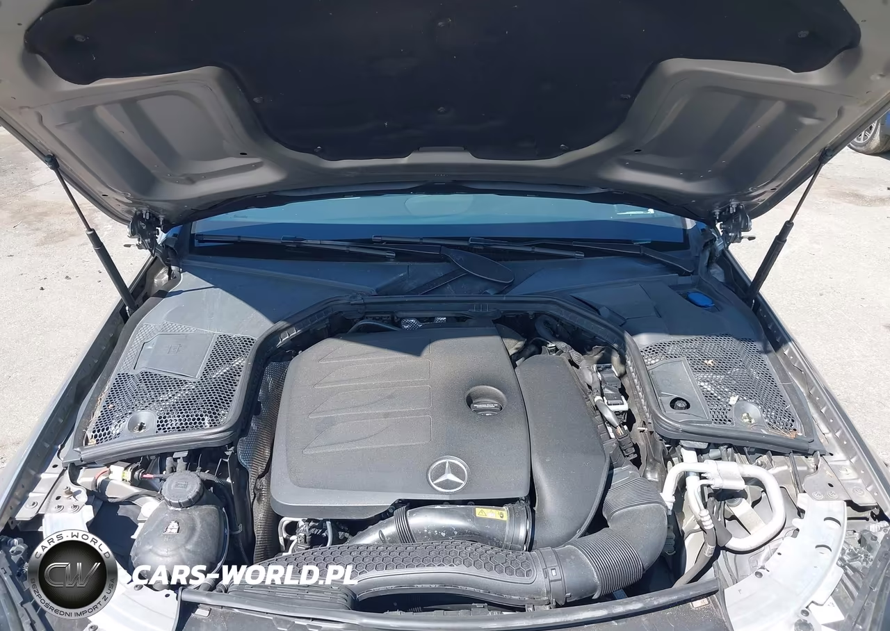 2019 Mercedes-Benz C 300 4Matic VIN:WDDWF8EB4KR482560 - 10
