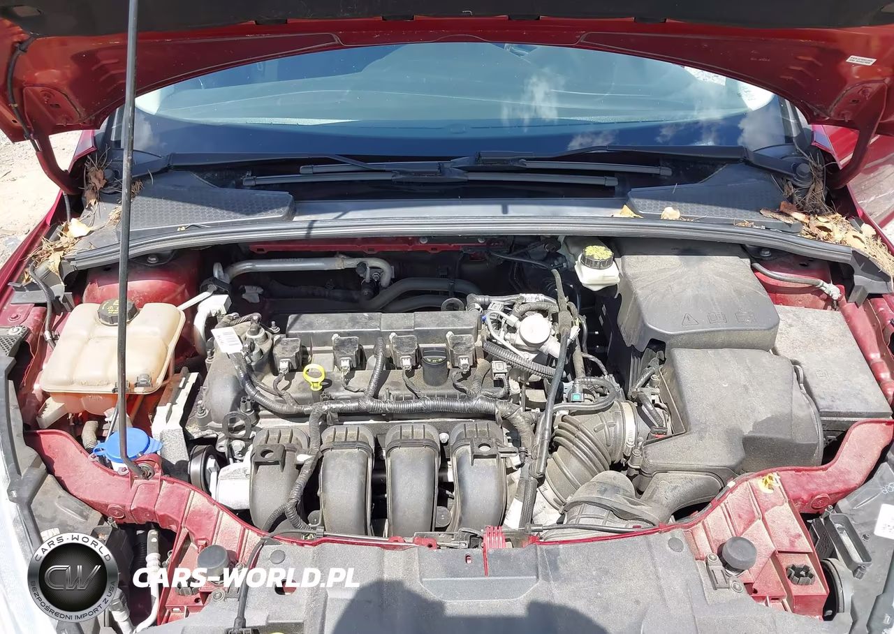 2017 Ford Focus Se VIN:1FADP3F22HL208307 - 10