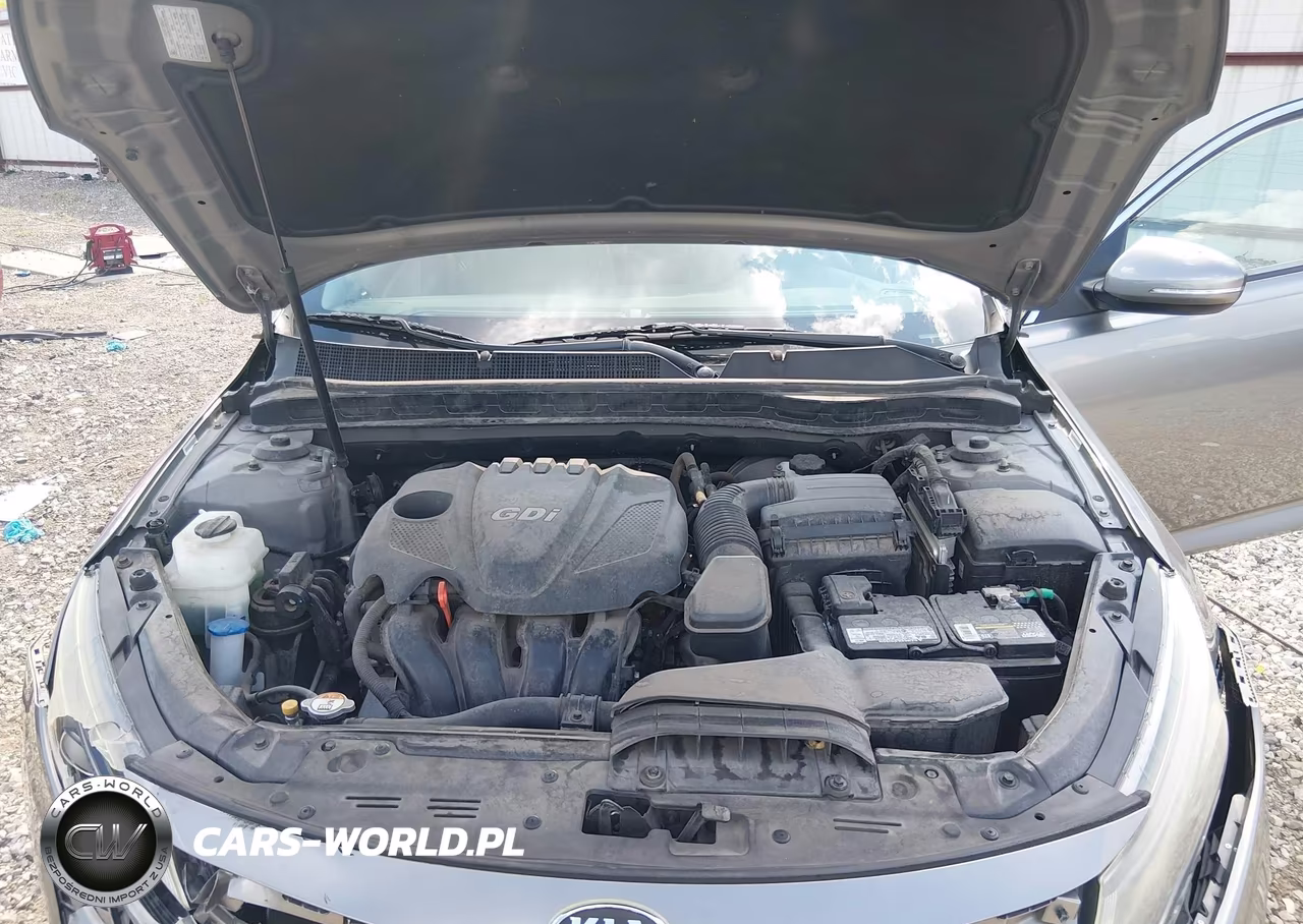 2014 Kia Optima Ex VIN:5XXGN4A73EG339215 - 10