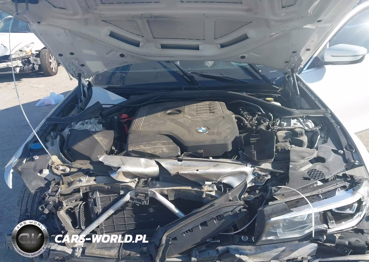2020 BMW 330I VIN:3MW5R1J07L8B17405 - 10