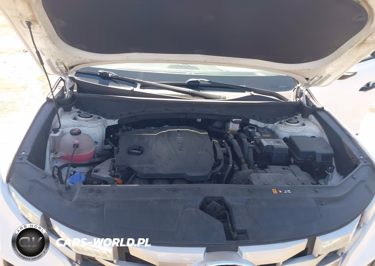 2023 Hyundai Santa Cruz Sel VIN:5NTJCDAE1PH065564 - 10