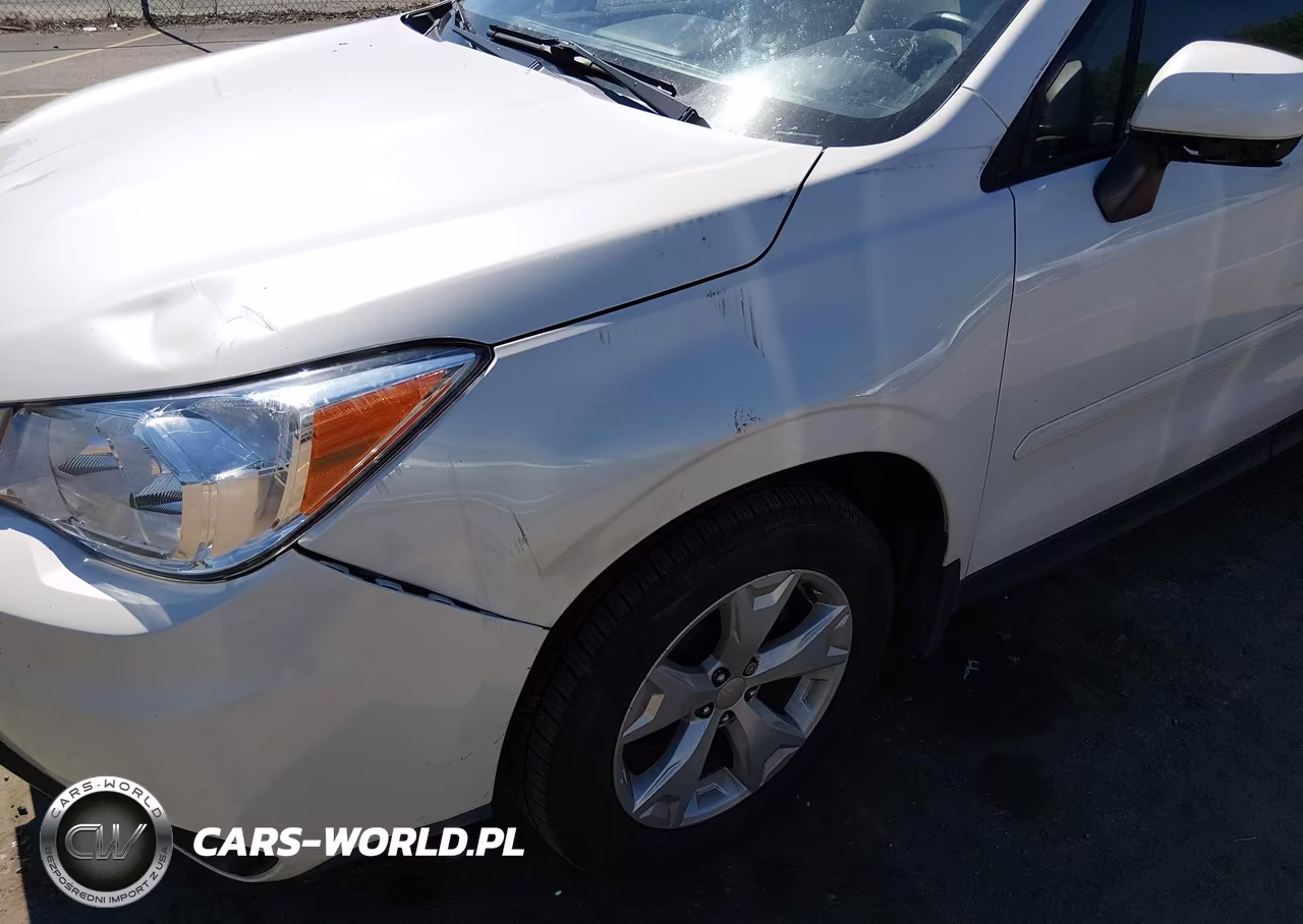 2015 Subaru Forester 2.5I Premium VIN:JF2SJAFC0FH472529 - 17