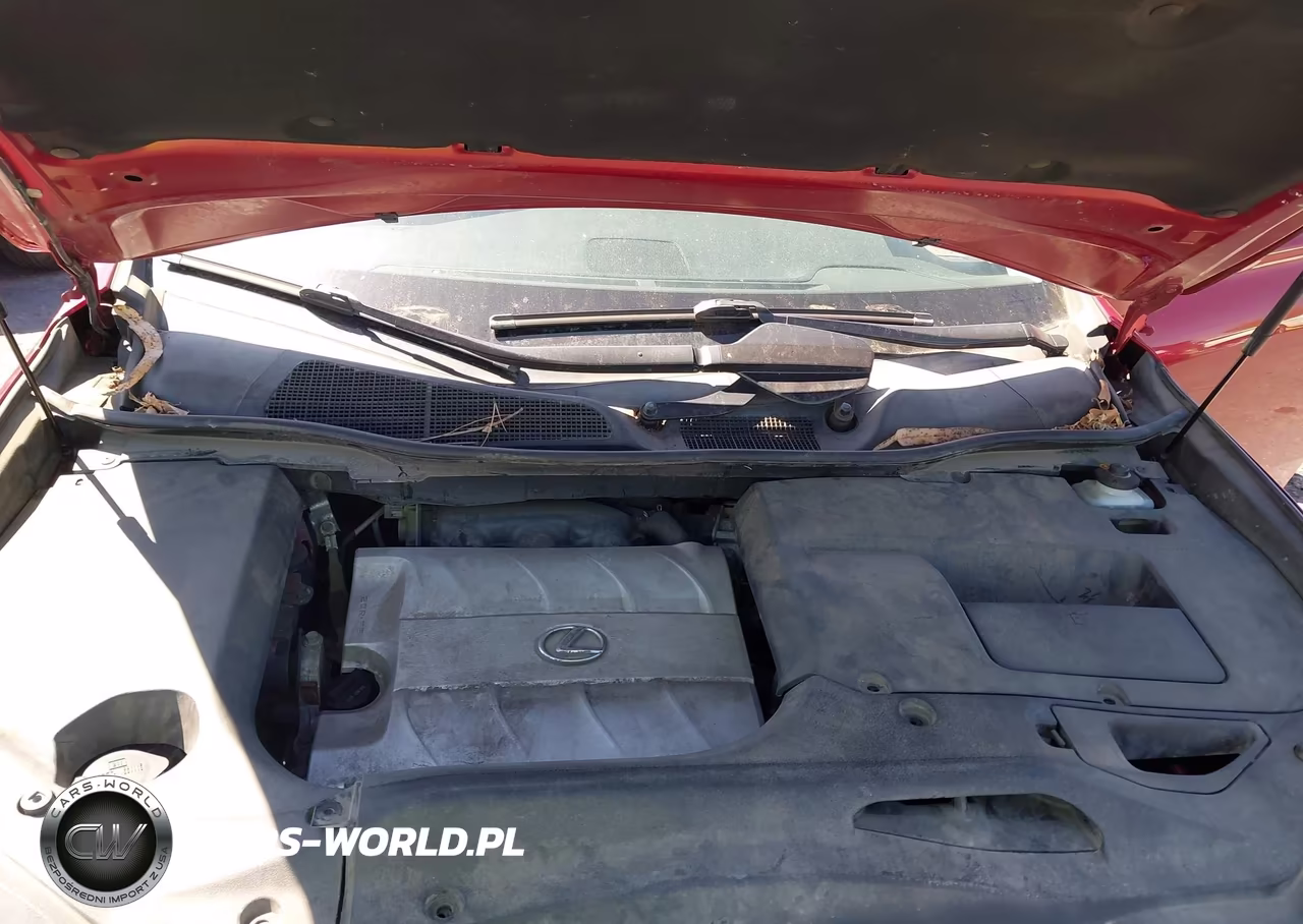 2010 Lexus Rx 350 VIN:JTJBK1BA0A2410847 - 10