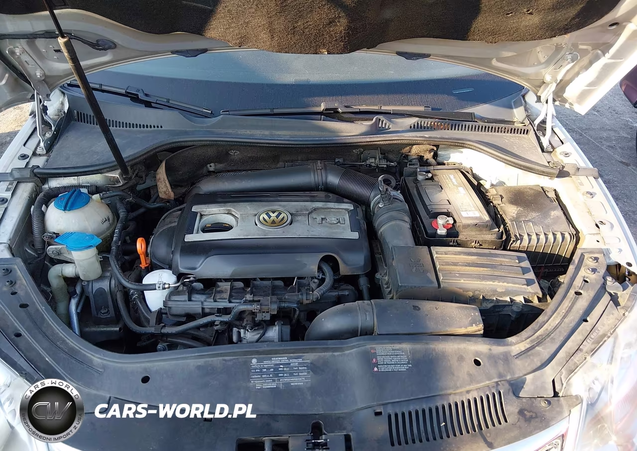 2009 Volkswagen Eos Komfort VIN:WVWBA71F79V009134 - 10