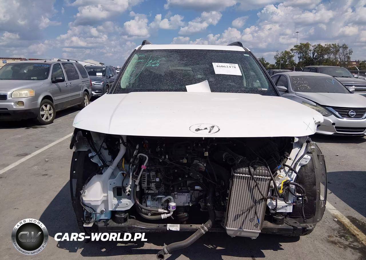 2025 Hyundai Santa Fe Xrt VIN:5NMP3DGL0SH102561 - 11