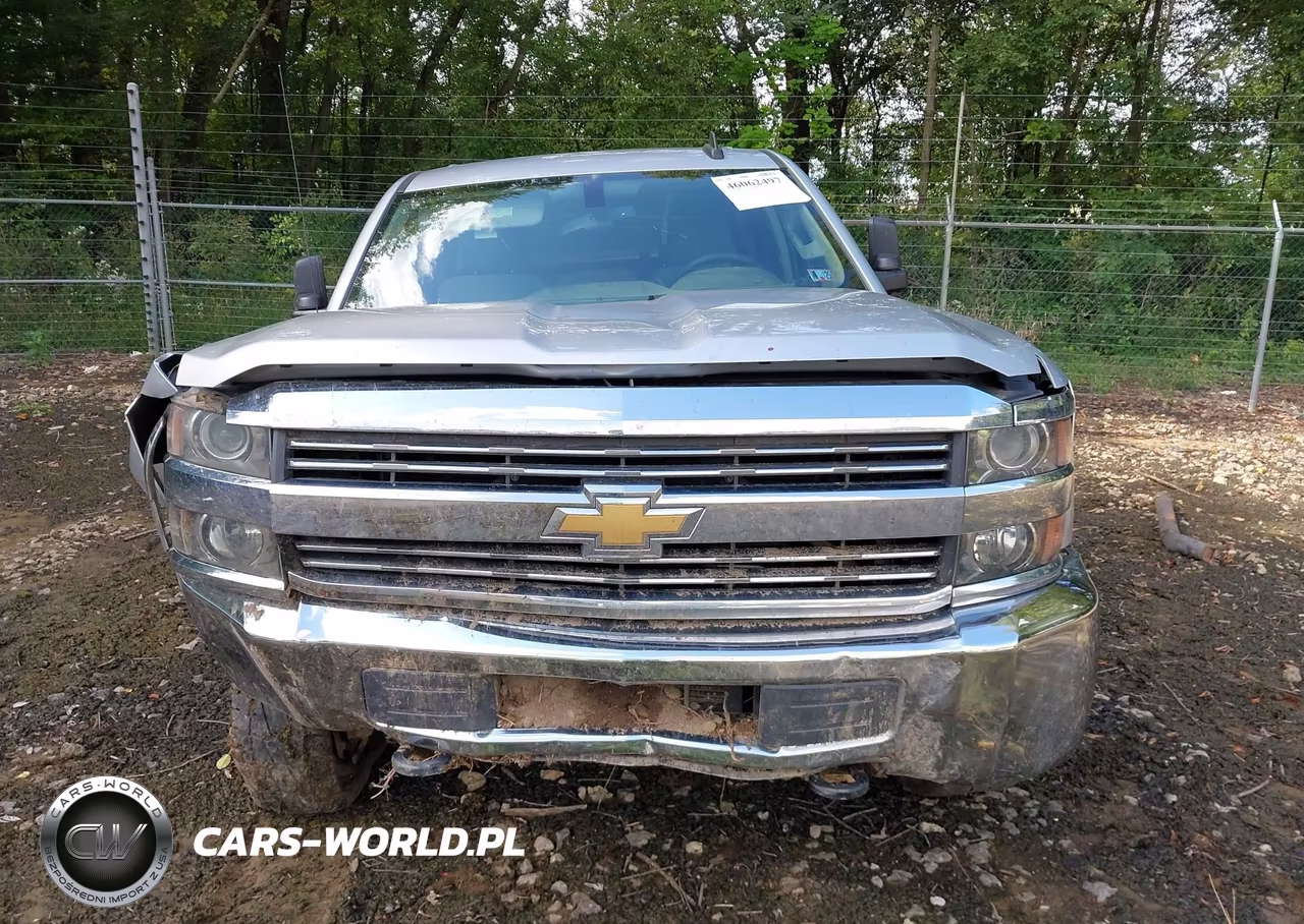 2017 Chevrolet Silverado 3500Hd Wt VIN:1GC4KYCG4HF161432 - 13