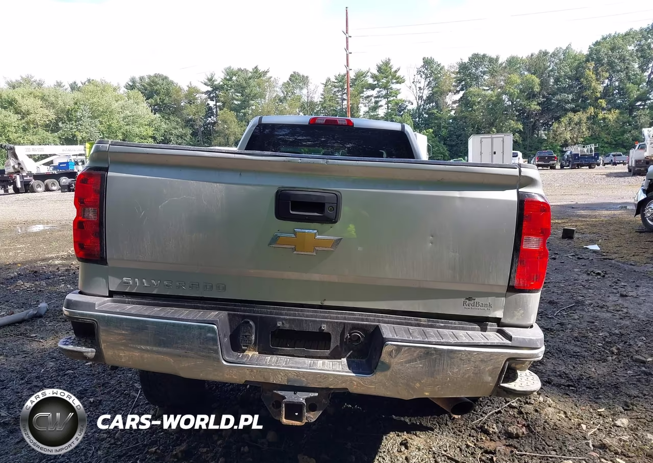 2017 Chevrolet Silverado 3500Hd Wt VIN:1GC4KYCG4HF161432 - 16