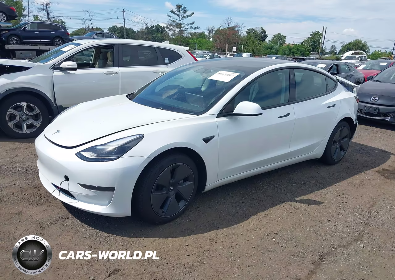 2023 Tesla Model 3 Rear-Wheel Drive VIN:5YJ3E1EA2PF564945 - 2