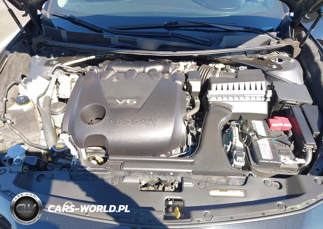 2019 Nissan Maxima 3.5 Platinum VIN:1N4AA6AV5KC378644 - 10