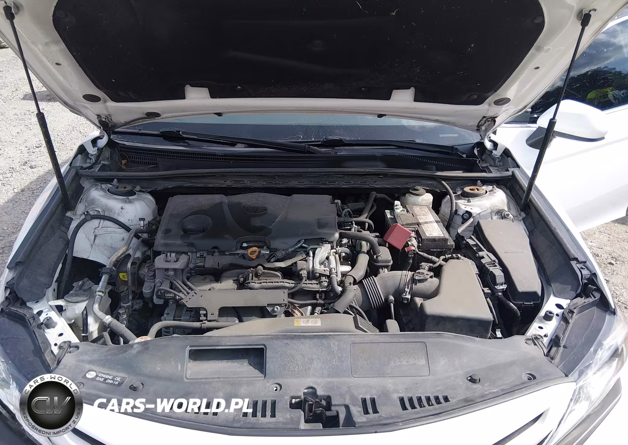 2020 Toyota Camry Se VIN:4T1G11AKXLU924035 - 10