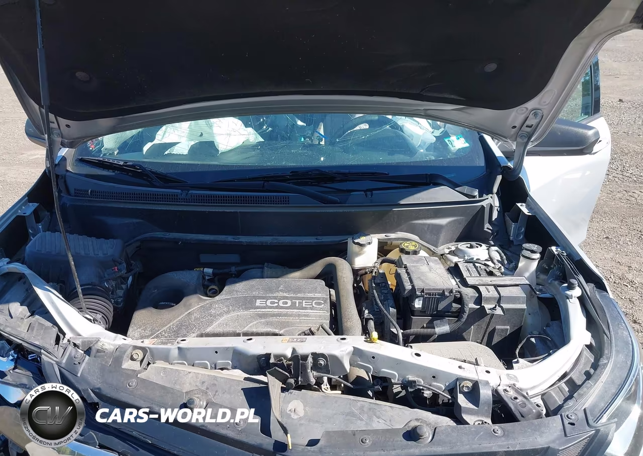 2019 Chevrolet Equinox Ls VIN:2GNAXSEV5K6197605 - 10