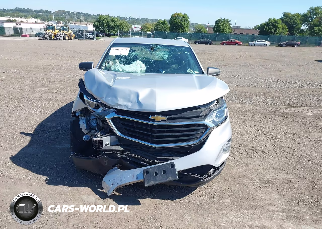 2019 Chevrolet Equinox Ls VIN:2GNAXSEV5K6197605 - 12